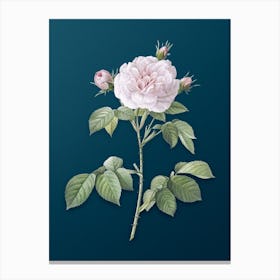 Vintage Rosa Alba Botanical Art on Teal Blue n.0650 Canvas Print