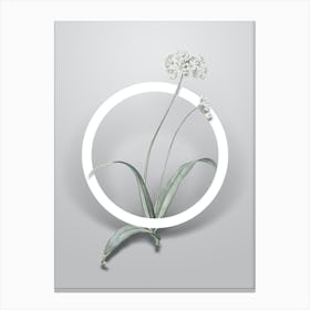 Vintage Spring Garlic Minimalist Flower Geometric Circle on Soft Gray Canvas Print