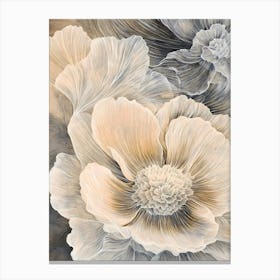 White Poppy 1 Canvas Print