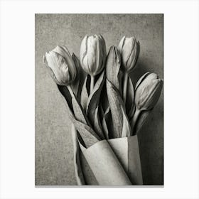 Tulips 5 Canvas Print