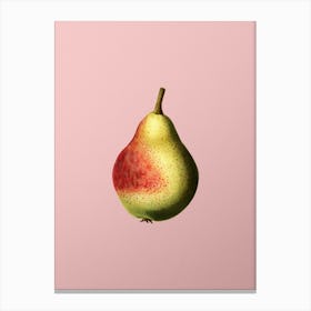 Vintage Pear Botanical on Soft Pink n.0421 Canvas Print