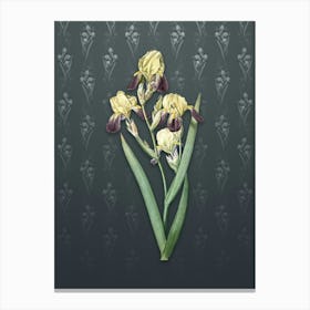 Vintage Elder Scented Iris Botanical on Slate Gray Pattern n.2400 Canvas Print