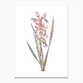 Stained Glass Yellow Banded Iris Mosaic Botanical Illustration on White n.0362 Canvas Print