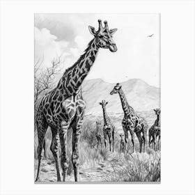 Herd Of Giraffe Pencil Portrait 2 Canvas Print