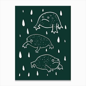 Rain Frog Pink Canvas Print