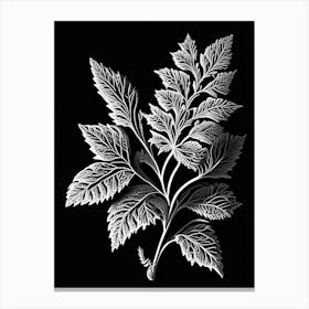 Calamint Leaf Linocut 1 Canvas Print