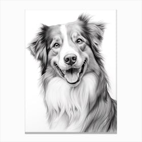 Australian Shepherd Dog, Line Drawing 2 Canvas Print