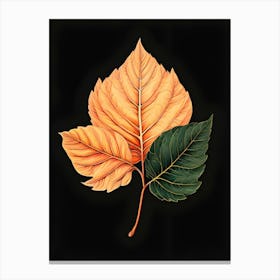 Autumn Leaves 13 Canvas Print
