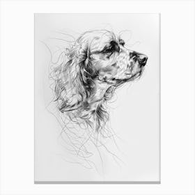 Boykin Spaniel Dog Line Art 2 Canvas Print