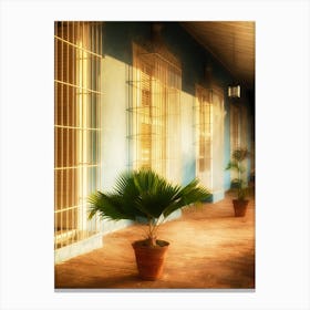 Sunlit Cuban Terrace Canvas Print