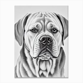 Dogue De Bordeaux B&W Pencil dog Canvas Print