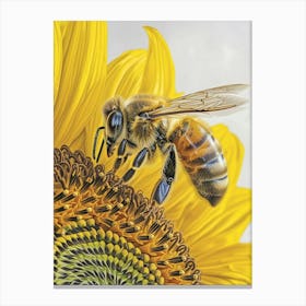 Halictidae Bee Storybook Illustration 9 Canvas Print