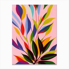 Hawaiian Schefflera Colourful Illustration Plant Canvas Print