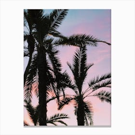 Palm Tree Silhouette Canvas Print