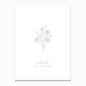 Aster Birth Flower Canvas Print
