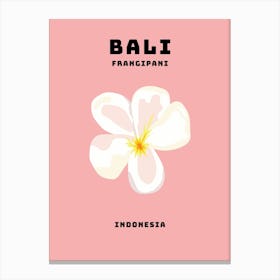 Bali Francesz Canvas Print