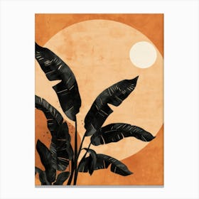 Banana Leaves In The Sun Canvas Print