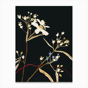 Neon Flowers On Black Babys Breath 6 Canvas Print