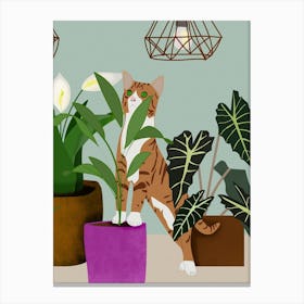 Cat And Plants Cat Plant Animal Nature Leaves Canvas Print