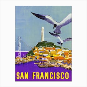 San Francisco Seagulls, California, USA Canvas Print
