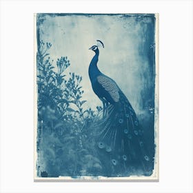 Peacock In The Meadow Cyanotype Inspired 1 Canvas Print