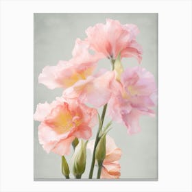 Gladioli Flowers Acrylic Painting In Pastel Colours 1 Canvas Print