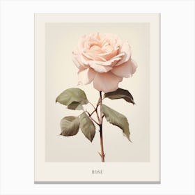 Floral Illustration Rose 2 Poster Canvas Print