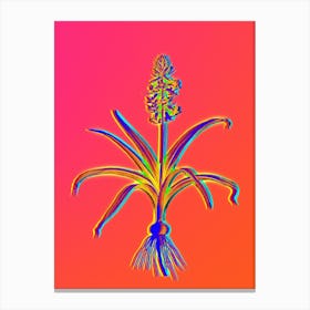 Neon Scilla Patula Botanical in Hot Pink and Electric Blue n.0551 Canvas Print