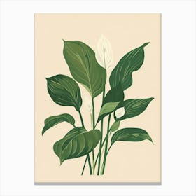 Hosta Plant Minimalist Illustration 6 Canvas Print