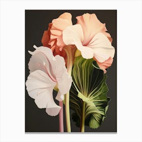 Flower Illustration Amaryllis 2 Canvas Print