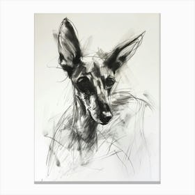 Ibizan Hound Dog Charcoal Line 3 Canvas Print