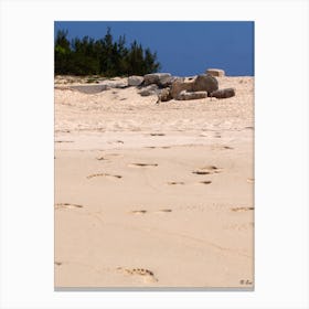 Footsteps In Sand Canvas Print