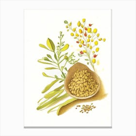 Fenugreek Spices And Herbs Pencil Illustration 3 Canvas Print