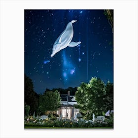 Dolphin In The Sky Canvas Print