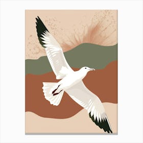 Seagull In Flight Canvas Print