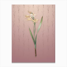 Vintage Gladiolus Cuspidatus Botanical on Dusty Pink Pattern n.2425 Canvas Print