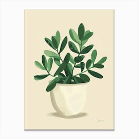 Jade Plant Minimalist Illustration 6 Canvas Print