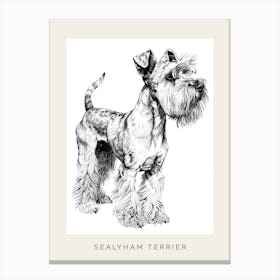 Sealyham Terrier Dog Line Art 1 Poster Canvas Print