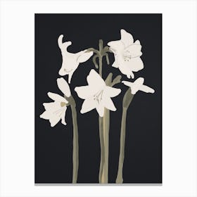 White Flowers 5 Canvas Print