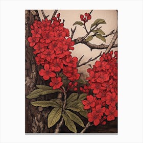 Hanakotoba Crape Myrtle 3 Vintage Botanical Woodblock Canvas Print