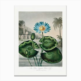 Vintage Botanical Temple Of Flora _2476831 Canvas Print