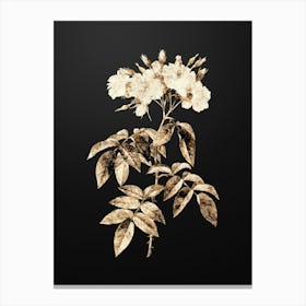 Gold Botanical Musk Rose on Wrought Iron Black n.3915 Canvas Print