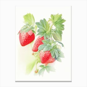 Everbearing Strawberries, Plant, Pastel Watercolour Canvas Print
