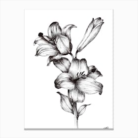 Black and White Flowers & Bud Canvas Print