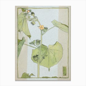 Velvet Weed (1915), Hannah Borger Overbeck Canvas Print