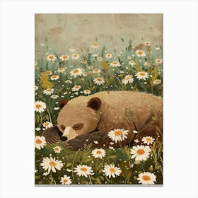 Sloth Bear Resting In A Field Of Daisies Storybook Illustration 2 Canvas Print