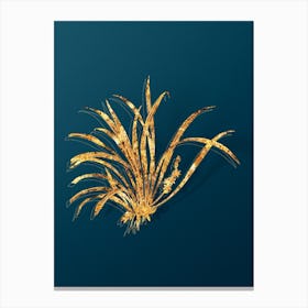 Vintage Sansevieria Carnea Botanical in Gold on Teal Blue n.0275 Canvas Print