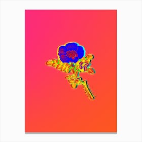 Neon Burnet Rose Botanical in Hot Pink and Electric Blue n.0335 Canvas Print