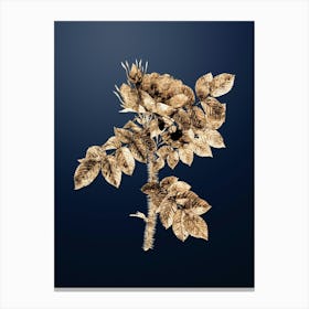 Gold Botanical Kamtschatka Rose on Midnight Navy n.2961 Canvas Print