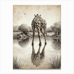 Giraffe In Water Canvas Print